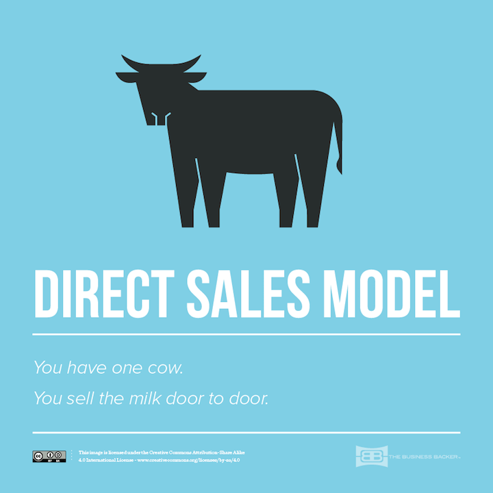 Direct Sales Model